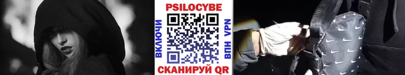 Купить  Кола  Галлюциногенные грибы Psilocybine cubensis 