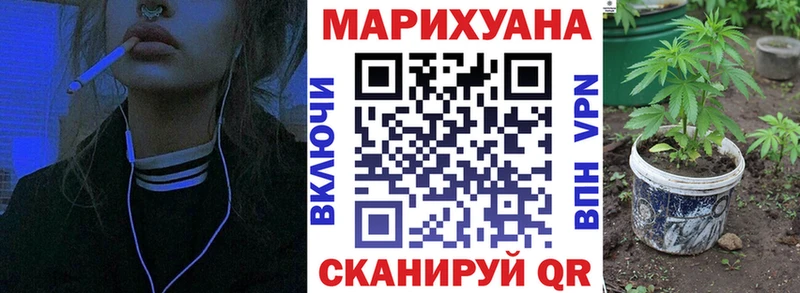 Бошки марихуана THC 21%  Купить закладки  Кола 